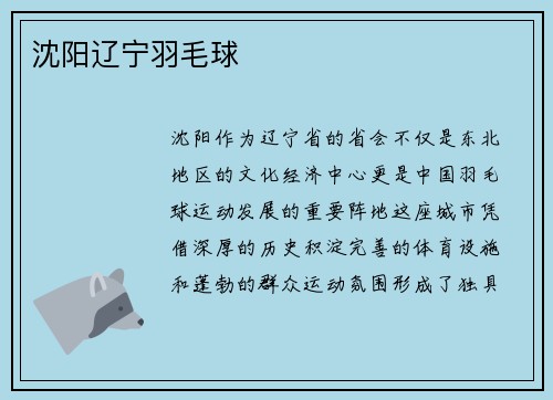 沈阳辽宁羽毛球