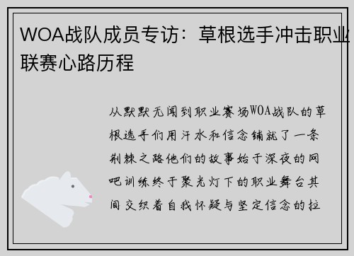 WOA战队成员专访：草根选手冲击职业联赛心路历程